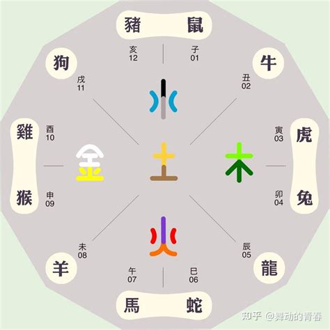 時沖生肖 5月出生 五行